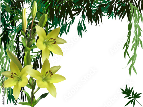 yellow lilies and dark green bamboo isolated on white background