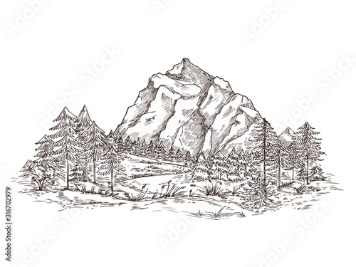 Mountain landscape sketch. Nature doodle drawing  valley panorama. Creative drawing hill  forest and rocks. Vintage vector illustration. Sketch landscape mountain  illustration graphic panorama doodle