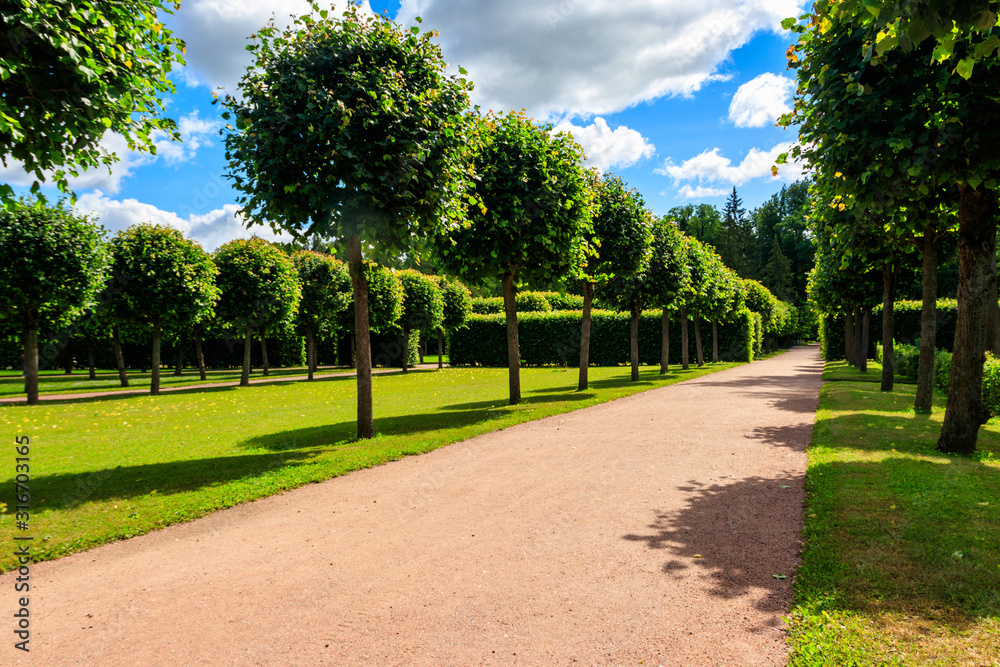 Formal garden in Catherine Park in Tsarskoye Selo, Pushkin, Russia