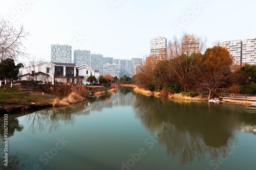 lake with yellow trees on the background of the city