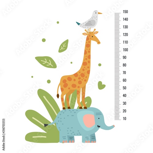Height measure. Measuring ruler children, growth scale for kindergarten, pediatric or school with giraffe. Vector animals wall sticker. Illustration stadiometer height, giraffe and animal