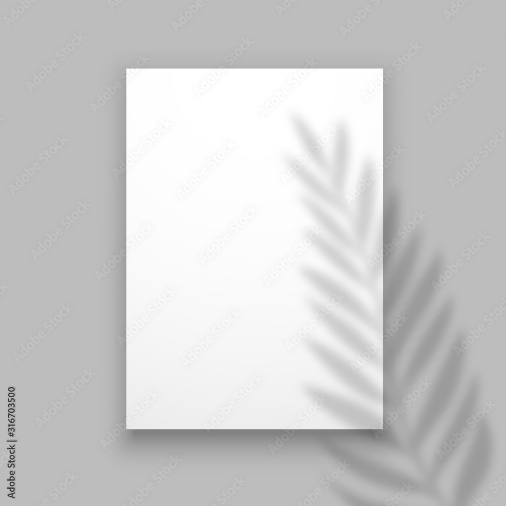 Shadow plant. Overlay palm leaf effect on paper sheet. Summer invitation or card or poster. Vector minimalistic blurred banner mockup. Paper sheet with palm leaf shadow illustration