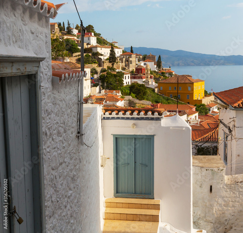 Hydra