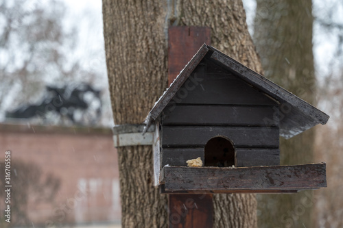 a pigeon feeder in the form of a wooden house hangs on a tree in winter. a piece of bread lies on the manger.