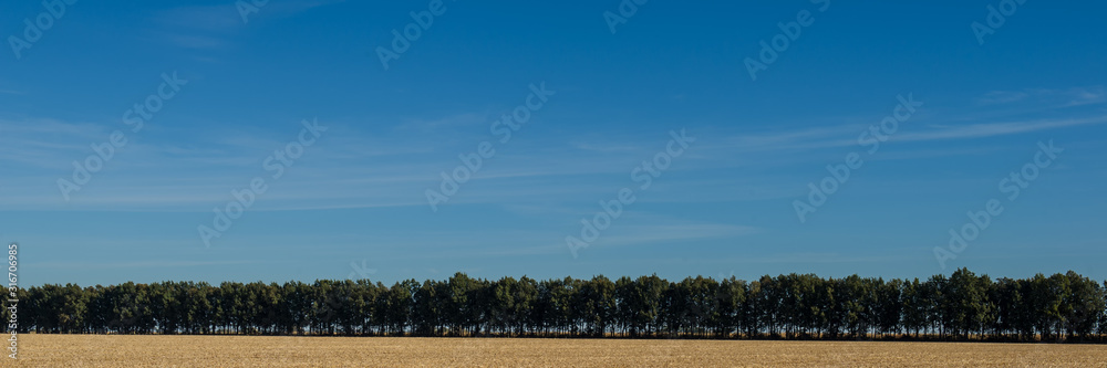 Blue sky, deciduous forest and agricultural field after harvested crops. Web banner.