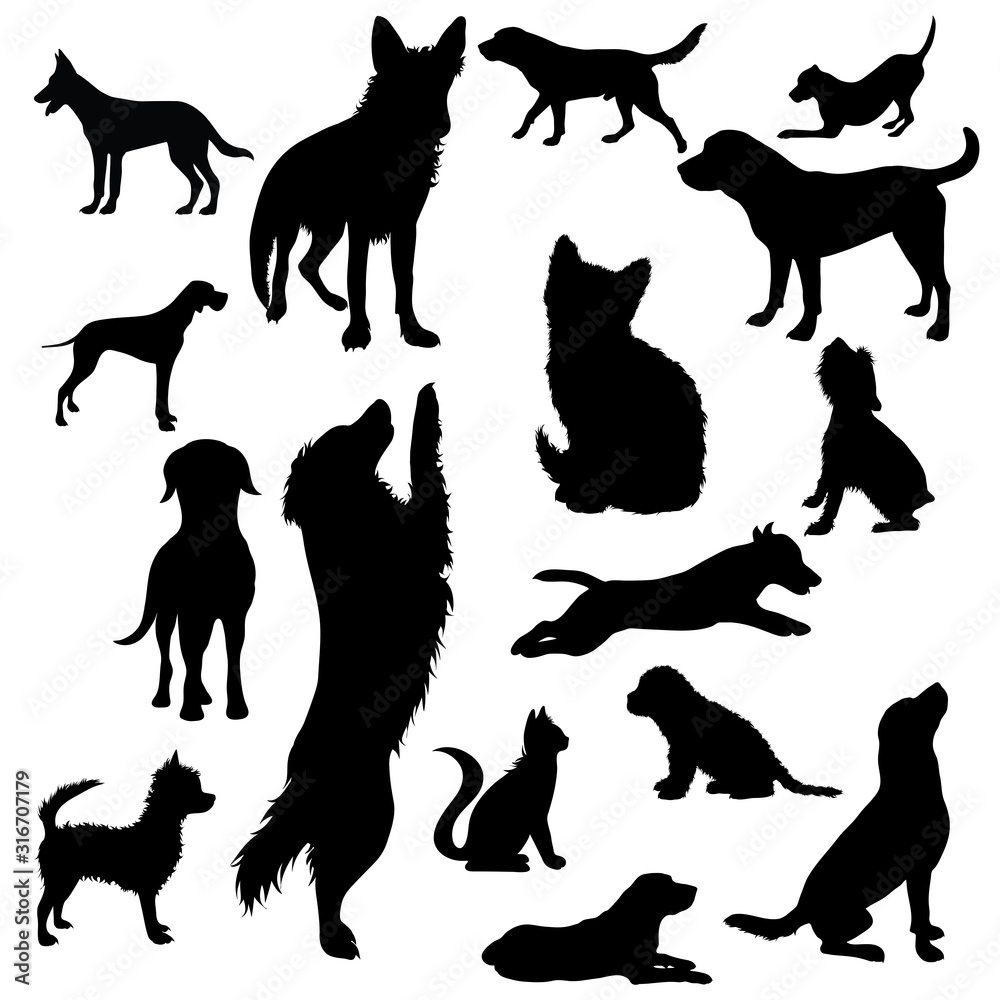 Vector silhouette of collection of dogs and cats on a white background. Symbol of home animal.