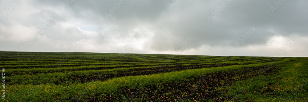Field and sky in cloudy weather. Web banner.