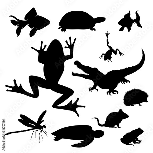 Vector silhouette of collection of animal on a white background. Set water and rainforest creatures.