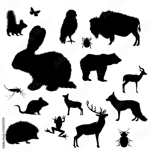 Vector silhouette of collection of wild animal on a white background. Symbol of creatures of forest.