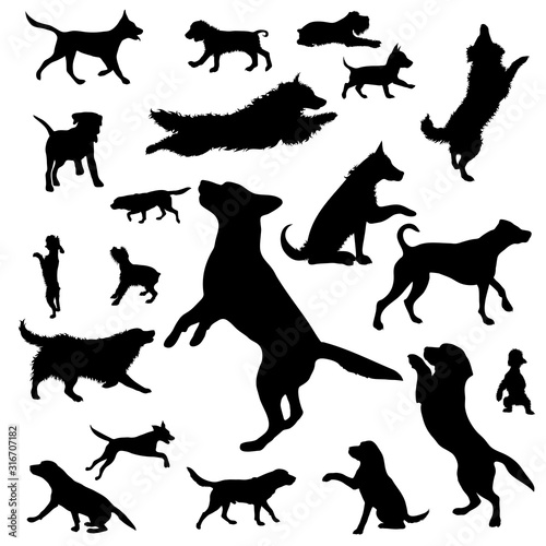 Vector silhouette of collection of dogs on a white background. Symbol of home animal.