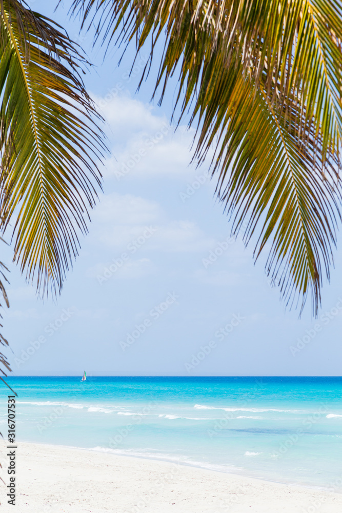 caribbean cuba varadero tropical beach with palm trees