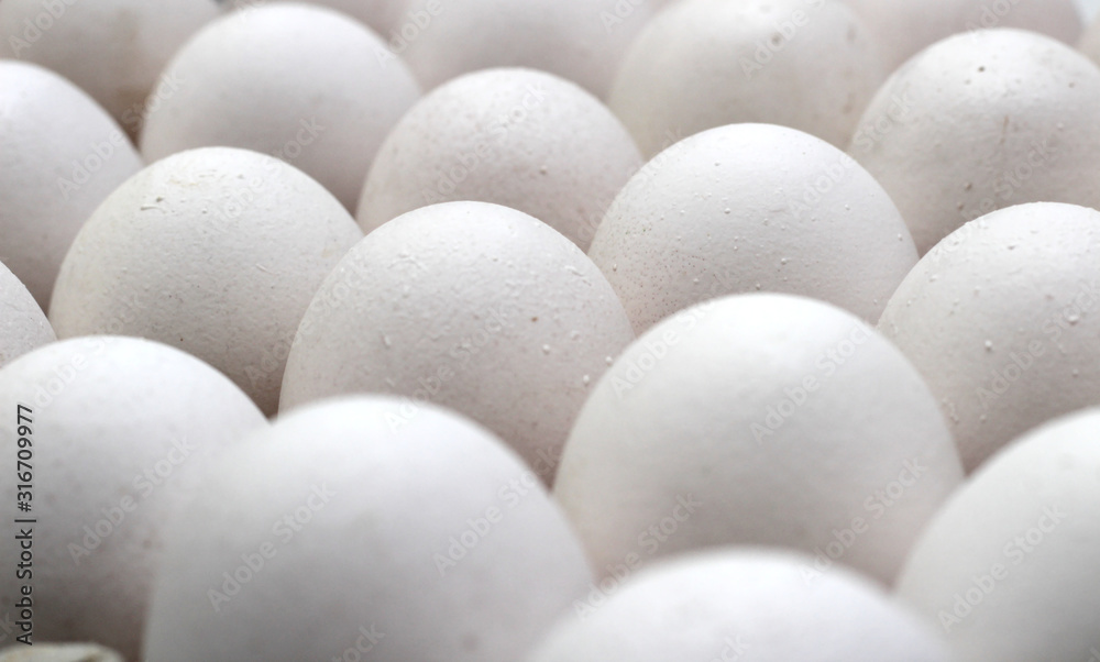 An isolated tray of eggs from recycled materials with white eggs on a white background. Selective Focus An isolated tray of eggs from recycled materials with white eggs on a white background. Selective Focus