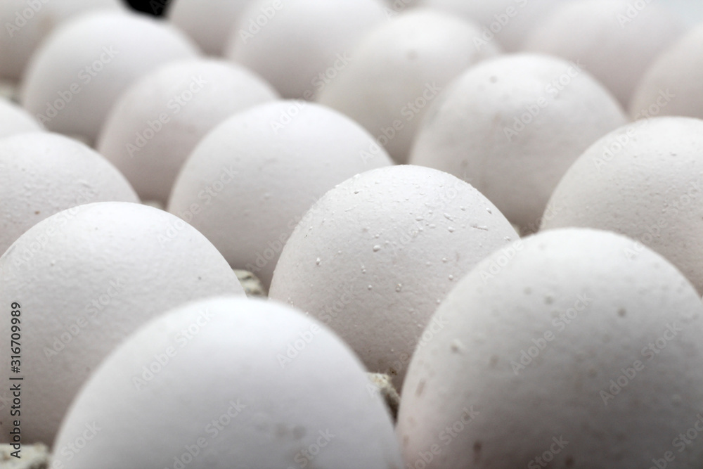 An isolated tray of eggs from recycled materials with white eggs on a white background. Selective Focus An isolated tray of eggs from recycled materials with white eggs on a white background. Selective Focus