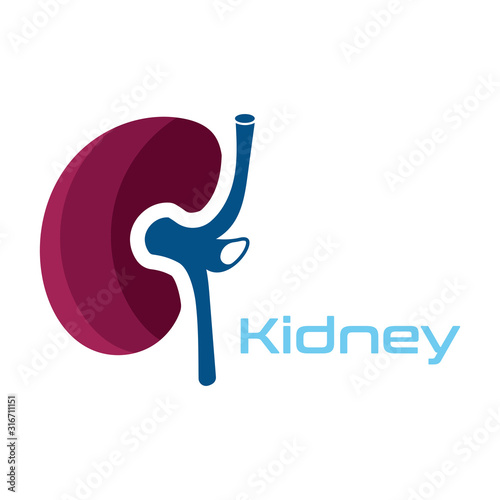Kidney Care vector illustration design logo template symbol
