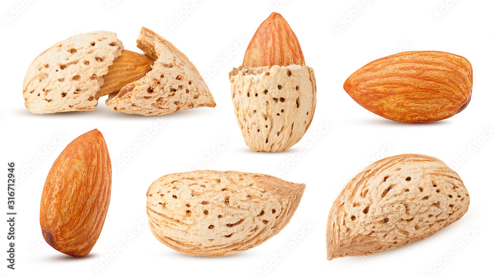 almond isolated on white background, full depth of field almond isolated on white background, full depth of field