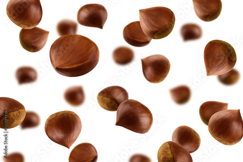 Falling Chestnuts, isolated on white background, selective focus