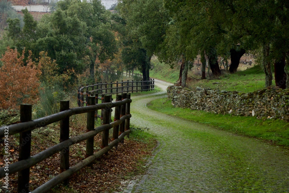 Caminho rural em Santa Combinha em Macedo de Cavaleiros, Portugal.