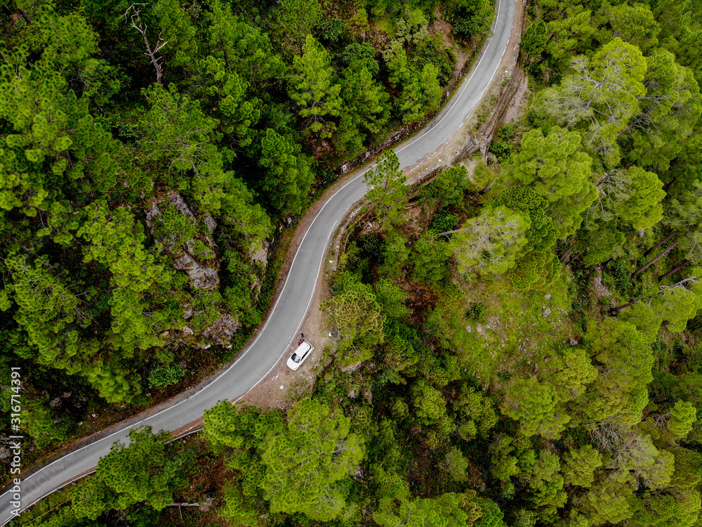 Foto Stock Aerial view of a vehicle on the road through a deep forest. Bird  eye view of a Green Forest road. Drone shot. | Adobe Stock
