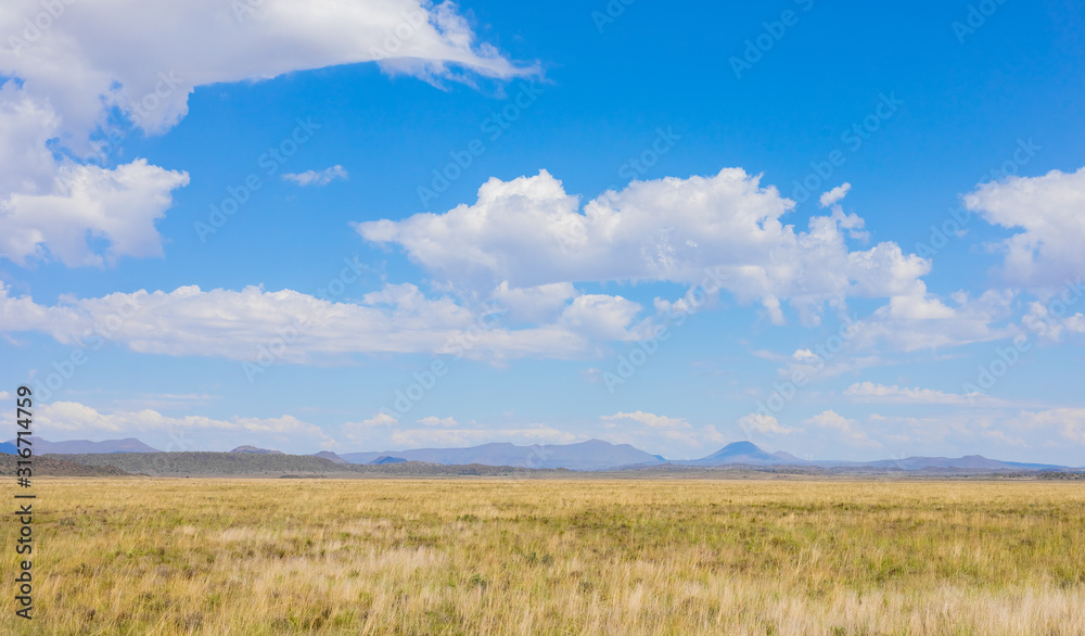 Grassland Farming Area of the Karoo Semi-desert in South Africa