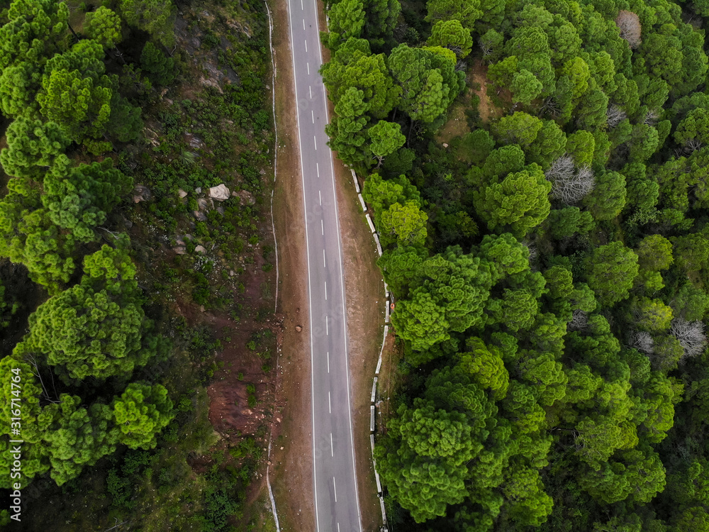 Aerial view of a vehicle on the road through a deep forest. Bird eye view of a Green Forest road. Drone shot. Aerial view of a vehicle on the road through a deep forest. Bird eye view of a Green Forest road. Drone shot.