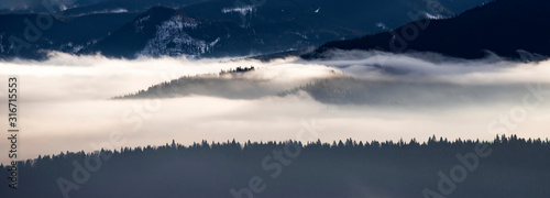 Winter forest in dramatic sunrise with fog in the Carpathians, Romania.