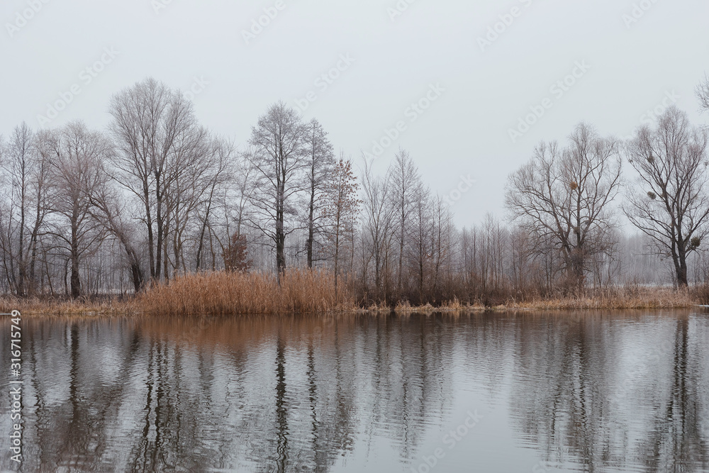 winter landscape river near the banks bare trees