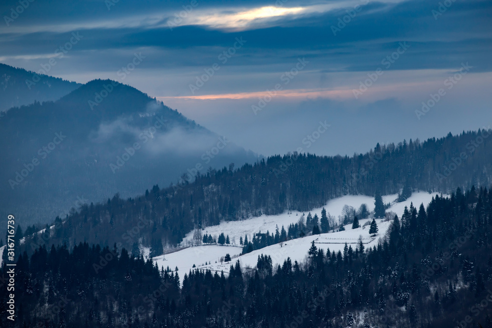 Winter forest in the Carpathians, Romania.