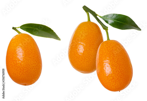 Group of orange ripe kumquat fruit on branch with green leaves isolated on white background