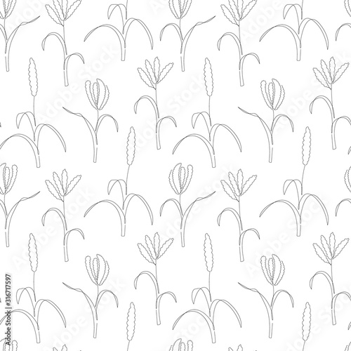 Vector seamless pattern with continuous line millet, grain crop. Trendy line art. Perfect for logo, branding, packaging design, textile