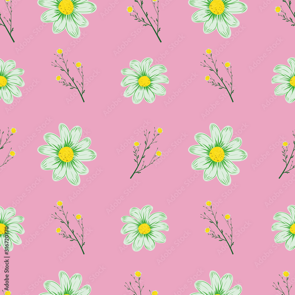 Chamomile seamless pattern pink background