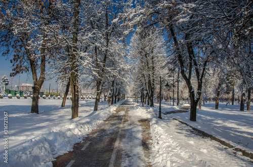 Promenade during winter - Bitola (Битола), Macedonia © Jove