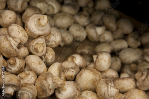 Close-up of button mushrooms in grocery store
