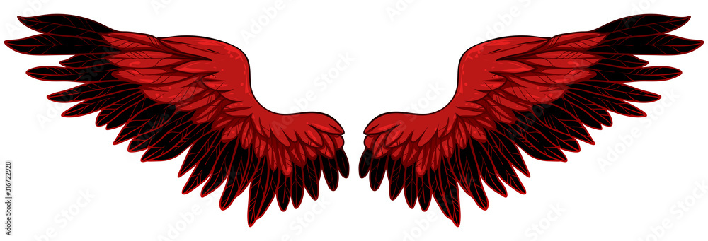 Fototapeta Beautiful fiery red bright wings, hand drawn vector