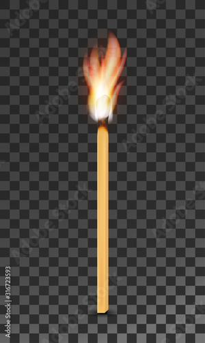 burning charred wooden match with flame vector illustration