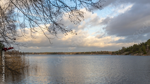 Panoramic view of Baltic Sea bay in spring. Landscape with beautiful trees branches in front. Horizon, skyline. Islands with pines and houses. Archipelago, Sweden.