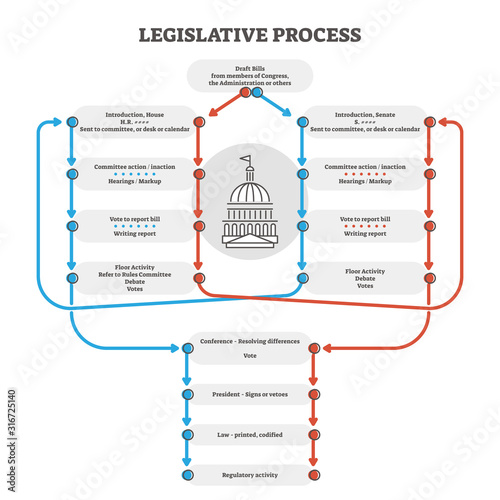 Legislative process outline diagram explanation scheme, vector illustration