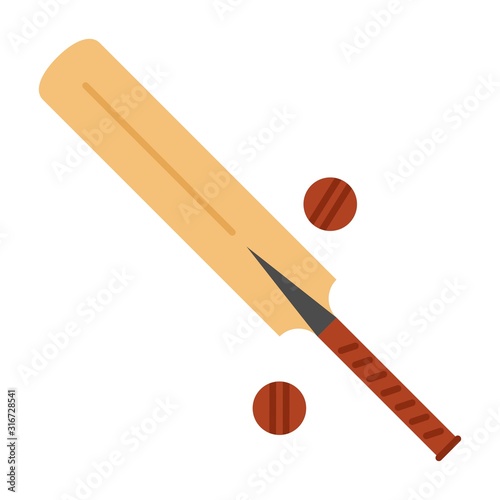 Wood cricket bat and balls icon. Vector Illustration on isolated white background.