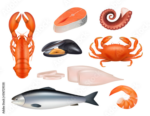Seafood. Tuna meal fishes shrimps molluscs octopus crab vector realistic natural products. Fish and crab, seafood tuna, fresh squid and mussel illustration