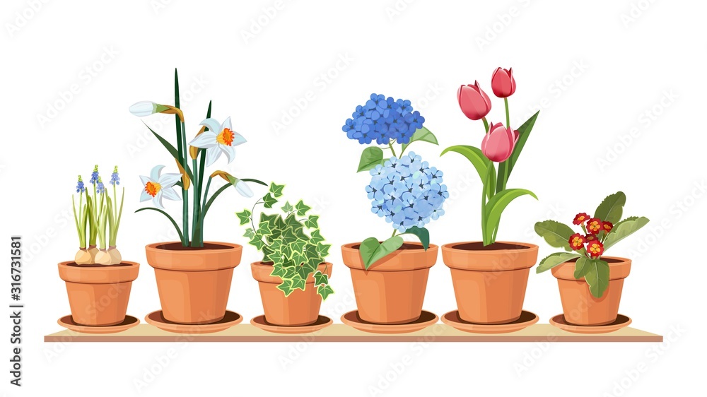 Spring flowers. Floral decorative interior elements. Isolated tulips in pot, houseplant on shelf vector illustration. Interior bloom flower in pot, floral tulip gardening - obrazy, fototapety, plakaty 