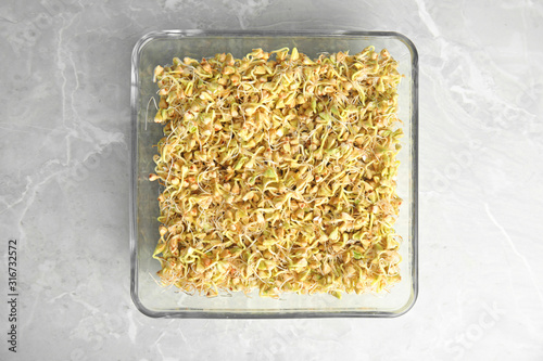 Glass bowl with sprouted green buckwheat on light grey table, top view