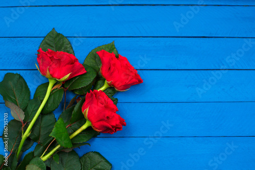 Red roses on blue wooden table. Valentines day background.