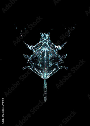 Photo a Scorpion from a splash of water on a black background © Иван Копышев