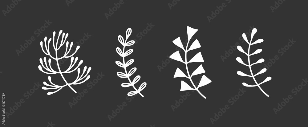 Hand drawn branch for design use. White Vector doodle flowers on black background. Abstract pencil boho drawing. Artistic illustration elements plant and bloom on black chalk board Hand drawn branch for design use. White Vector doodle flowers on black background. Abstract pencil boho drawing. Artistic illustration elements plant and bloom on black chalk board