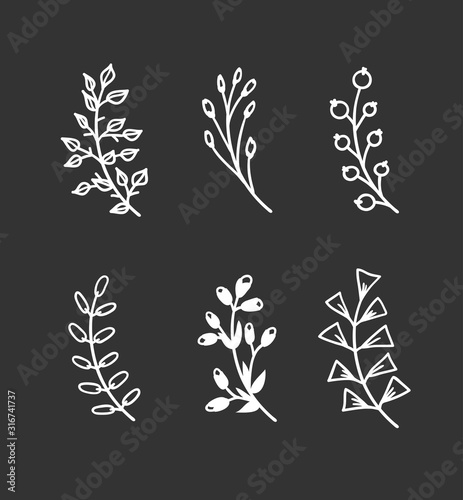Hand drawn branch for design use. White Vector doodle flowers on black background. Abstract pencil boho drawing. Artistic illustration elements plant and bloom on black chalk board