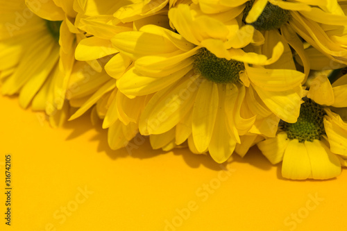 Fototapeta Naklejka Na Ścianę i Meble -  Yellow chrysanthemum bouquet on yellow background