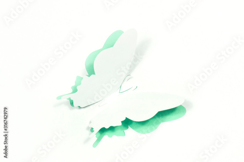 Silhouette cutted from white paper on a colored background.