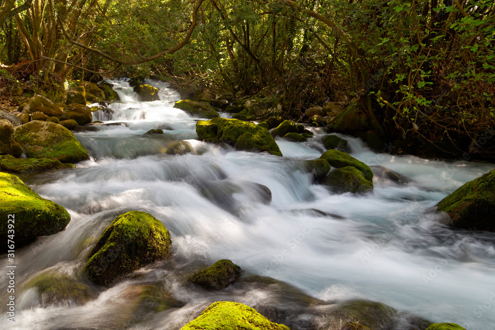 Ljuta River in Konavle, Dubrovnik region, Croatia