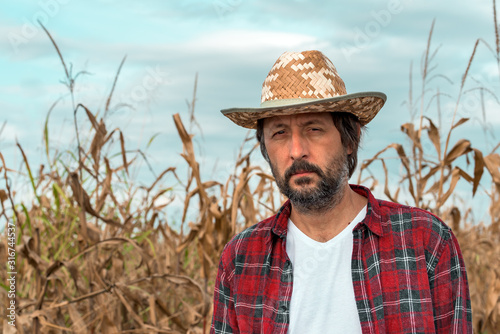 Portrait of corn farmer in ripe maize crop field