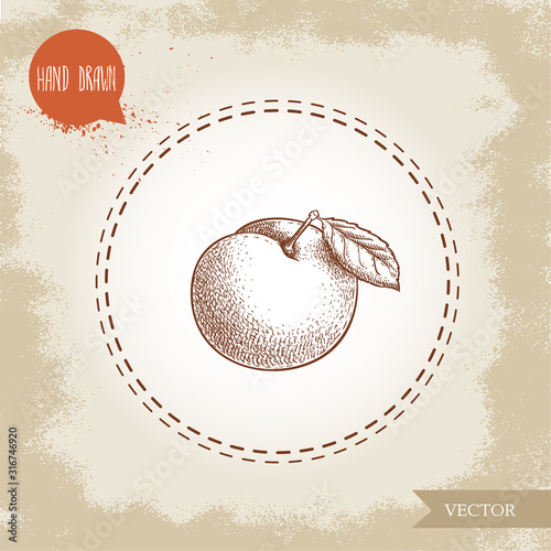 Hand drawn sketch style yellow plum mirabelle. Single whole fruit with leaf isolated on retro background. Vector illustration.