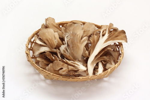 舞茸